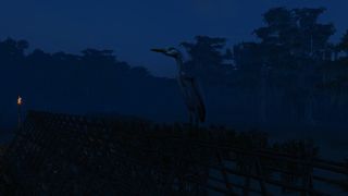 Image by Chironex