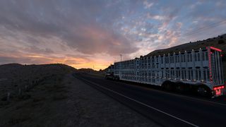 Image by plecottero61