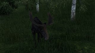 Image by Julius_der_111