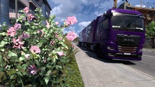 Image by hungryforcatnip