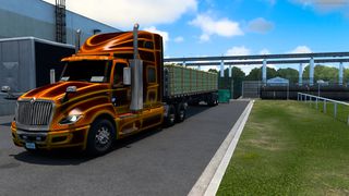 Image by Williams_571