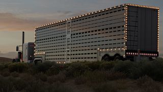 Image by Thatguy122
