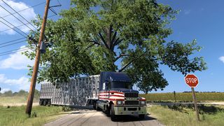 Image by agustinciitoo29