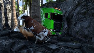 Image by gluchy89