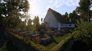 Image by BrasilSurvival