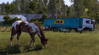 Image by Californian