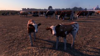 Image by Zesty_Udders