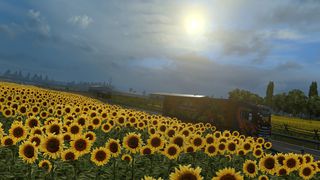 Image by AlexandreSB