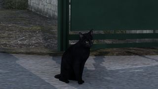 Image by The_Emperors_Cat