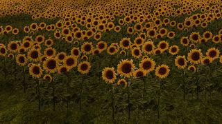 Image by Raoulen