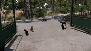 Image by Pychex_Benio