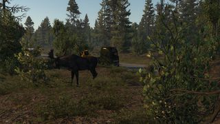 Image by ErikAndre71