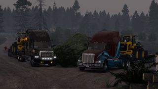 Image by ExaminerIan