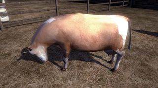 Image by SiminatorzST