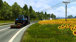 Image by notlive