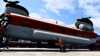 Image by Petie_saylor