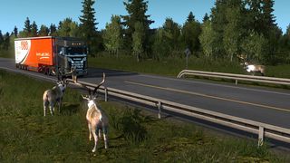 Image by 