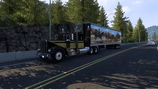 Image by tim_bit11