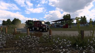 Image by WalterMelon2