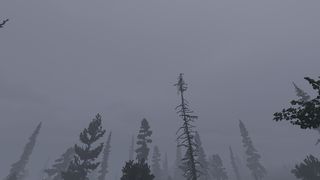 Image by probablylucifer