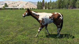 Image by ChiefBig420