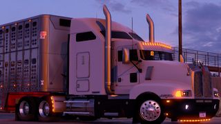 Image by BetoMayorga08