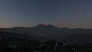 Image by Ellisbutler7132