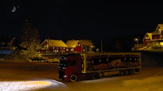 Image by nurettinozturk0