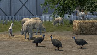 Image by ExaminerIan