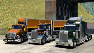 Image by ExaminerIan