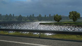 Image by bolo1134