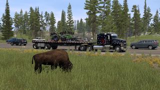 Image by Dreamcatcher__