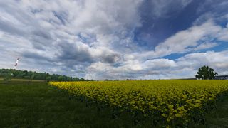 Image by Bing123