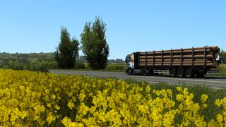 Image by Sturmvoge1