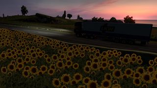 Image by rockhoppers