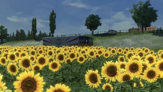 Image by DiVladtruck