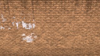 Image by 
