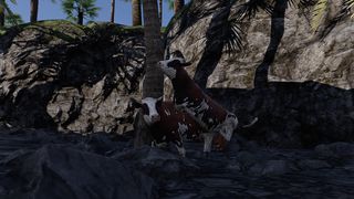 Image by simn112