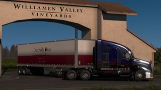 Image by ExaminerIan