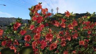 Image by Qubit