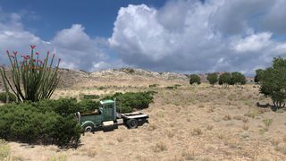 Image by TheBeastDam