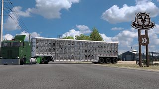 Image by diascheila112