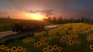 Image by seedtrucks