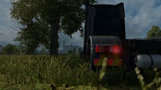 Image by Diego_FFernando