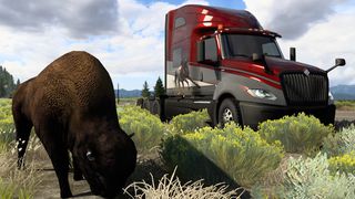 Image by ExaminerIan