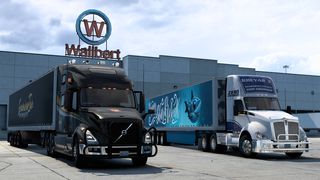 Image by ExaminerIan