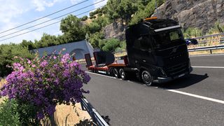 Image by anaconda_home