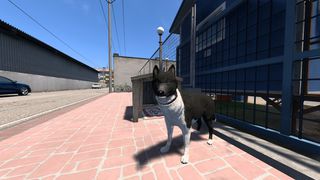 Image by Grajek07
