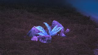 Image by wangshh5204