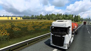 Image by Sarisinkavala